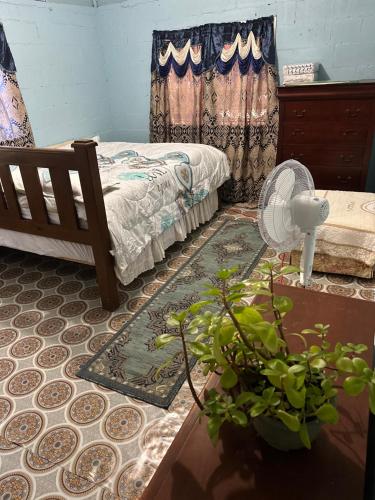 a bedroom with a bed and a table with a plant at SweetBOSS Guesthouse in Ha‘alalo