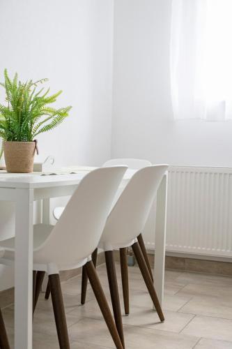 a white table and chairs with a plant on it at 75m2 Designer Apartment close to Bregenz in Lauterach