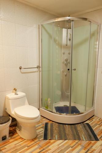 a bathroom with a shower and a white toilet at Casa Familiar Rogiel Aeropuerto in Santiago