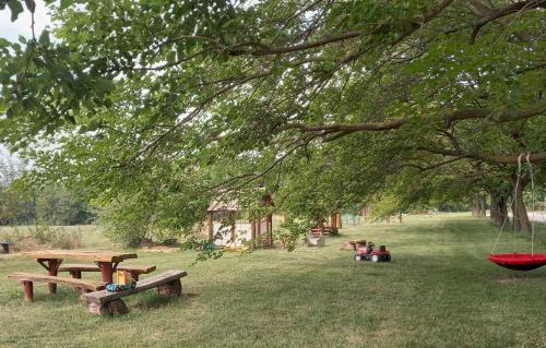 a group of people sitting in the grass under a tree at Éden Garten Vendégház in Magyarpolány