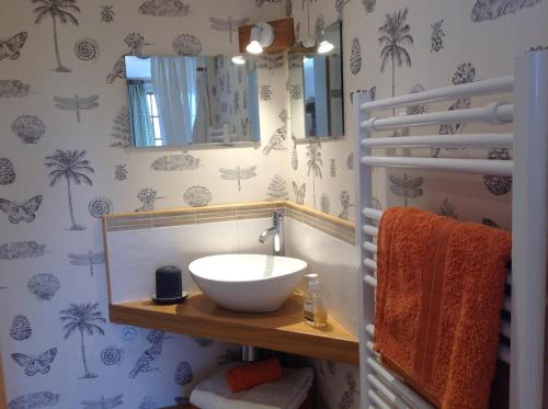 een badkamer met een wastafel en een spiegel bij L'Orchard in Bonneville-la-Louvet