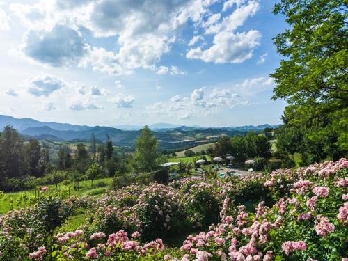 a field of flowers with mountains in the background at Cozy Couple s Retreat in Acqualagna