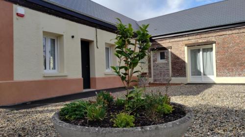 a plant in a pot in front of a building at Au Clair matin sur l'Yères in Sept-Meules