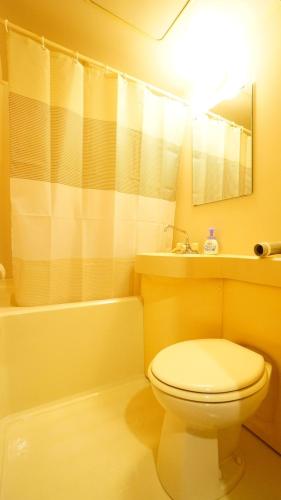 Takayama - Apartment / Vacation STAY 34383