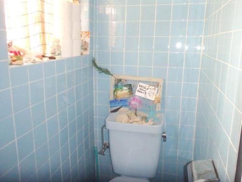Ishigaki - House / Vacation STAY 35337
