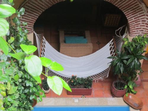 a hammock on the back of a house with plants at Casa India Catalina in Cartagena de Indias