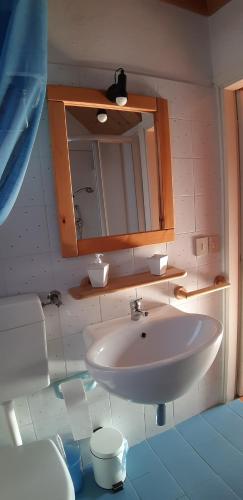 a bathroom with a sink and a toilet and a mirror at La Casetta - villetta singola a Valle di Cadore in Valle di Cadore