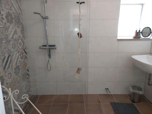 a bathroom with a shower and a sink at Ferienwohnungen Alte Schmiede in Wallenfels