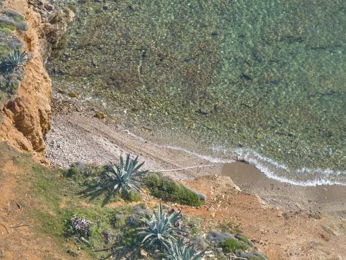 an aerial view of a beach with palm trees at Grecotel Marine Palace & Aqua Park in Panormos Rethymno