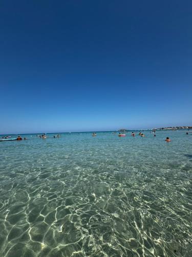 Φυσικό τοπίο κοντά σε αυτός ο ξενώνας