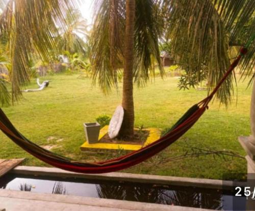 a hammock in front of a palm tree at Coco Cabana Kite Resort Kalpitiya in Kalpitiya