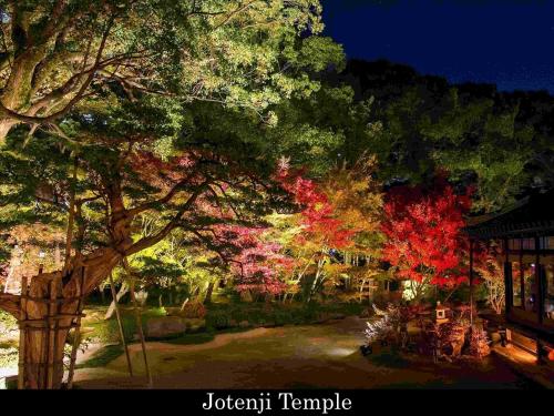 Сад в Tokyu Stay Fukuoka Tenjin