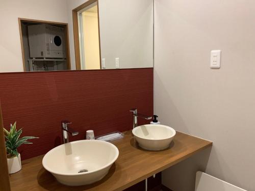 a bathroom with a sink and a mirror at AO Dazaifu / Vacation STAY 61732 in Chikushino