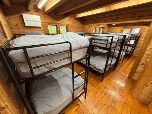 a group of bunk beds in a cabin at SAUNA Log Village富津岬 in Futtsu