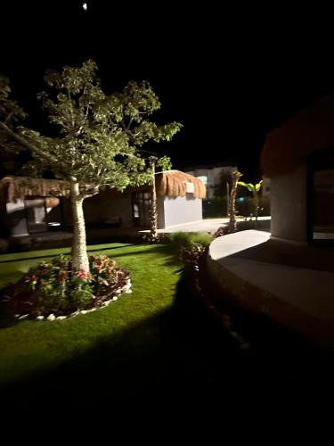 Fanadir Suite All inclusive Resort