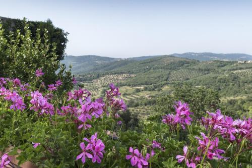 a field of purple flowers with mountains in the background at Agriturismo Borgo Spagnoli in Magione
