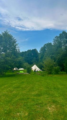 a field of green grass with trees in the background at Glamping Hive by Stream 