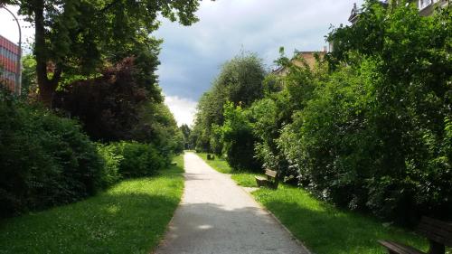 a walking path in a park with trees and grass at Ferienhaus Zittau Oberlausitz & Ferienwohnung am Hamann Berg in Zittau