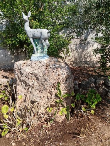 Κήπος έξω από το Petrothalassa