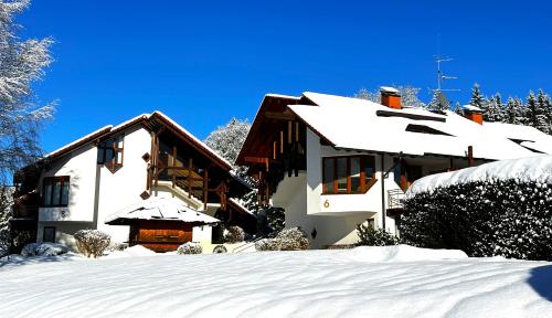 a house covered in snow in front at Siebert Apartment in Titisee-Neustadt