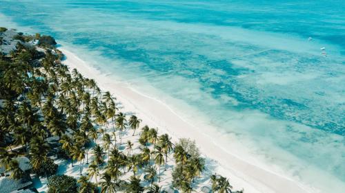 an overhead view of a beach with palm trees at JAZ Elite Aurora in Michamvi