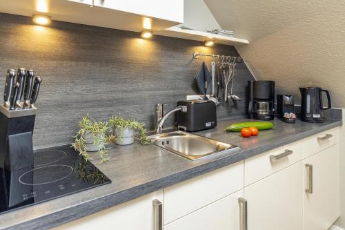 a kitchen with a sink and a counter top at Pier17 Appartement 3 in Borkum