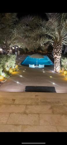 a courtyard with two palm trees and blue mats at Farm Lebanon in Abu Dhabi