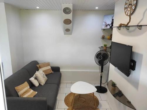 Μια τηλεόραση ή/και κέντρο ψυχαγωγίας στο Appartement cosy avec piscine au François