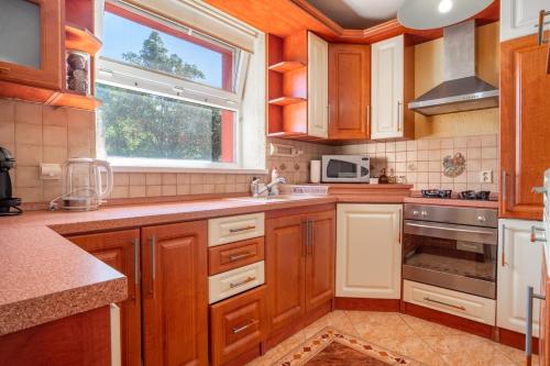 a kitchen with wooden cabinets and a sink and a window at Comfy 1BR Apartment in Otilia