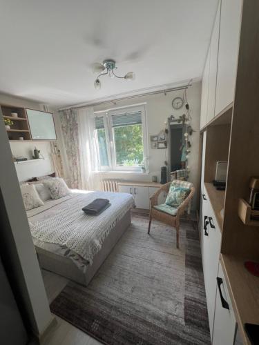 ein Schlafzimmer mit einem Bett, einem Fenster und einem Stuhl in der Unterkunft Mieszkanko w Perle Mazur-Ostroda in Ostróda