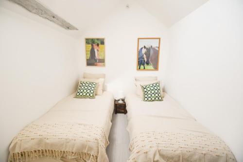 two beds in a room with white walls at Les crins du vignoble in Loches-sur-Ource