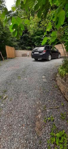 a black car parked in a driveway with a dog at Gîte "Le Pacifique" in Esneux