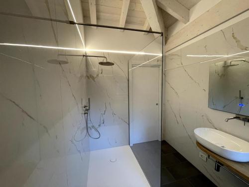 a bathroom with a glass shower and a sink at Attico vista Lago in Centro in Luino