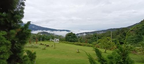 a green field with mountains in the background at บ้านลิ้นจี่โฮมสเตย์ Baan Lychee homestay in Ban Thung Phan Ha