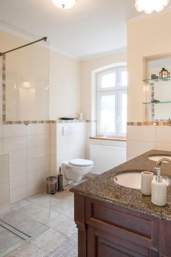 a bathroom with a toilet and a sink and a shower at Elbferienhaus-an-der-Elbe in Lenzerwische