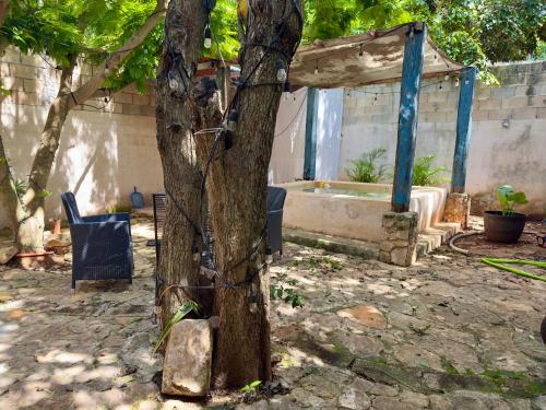a tree with a barbed wire wrapped around it at Casa La Perla del Sur Confort y calidez en todos sus espacios in Ticul