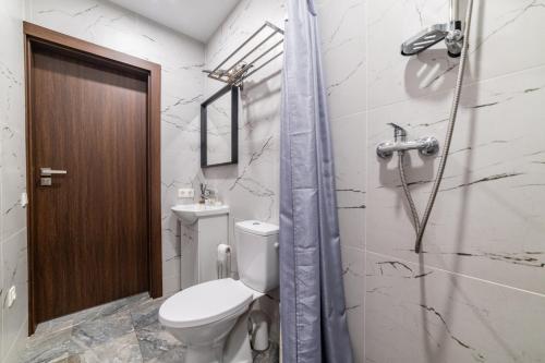 a bathroom with a toilet and a shower at Svečių namai Imperija in Šiauliai