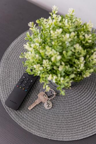 a remote control and a bunch of flowers on a table at Svečių namai Imperija in Šiauliai