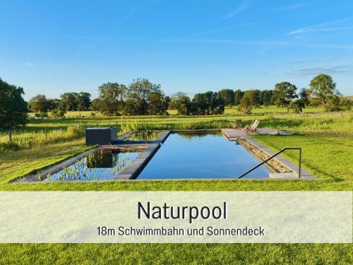 a pool of water in a field with trees at Landloft Linum in Fehrbellin