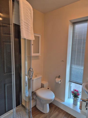 a bathroom with a toilet and a shower at Air Conditioned 3-Bed Home with Garden & Parking in Willen