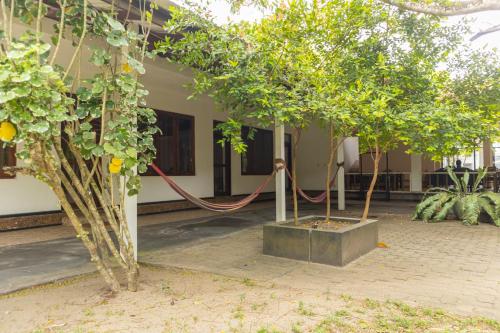 Zahrada ubytování Prana Hotel Ahangama