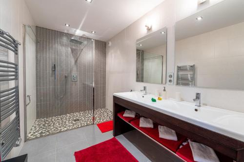 a bathroom with a large sink and a shower at Le Loft avec jacuzzi in Saint-Gildas-de-Rhuys