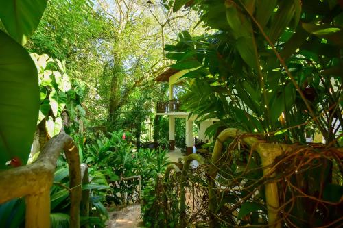 Zahrada ubytování Jungle Villa - Induruwa