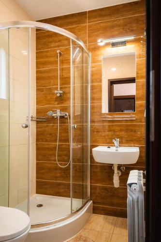 a bathroom with a shower and a sink at Dom Wypoczynkowy Elżbieta in Poronin