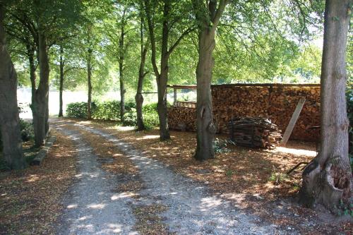 a path through a forest with trees and a wall at Even Heukelom in Afferden