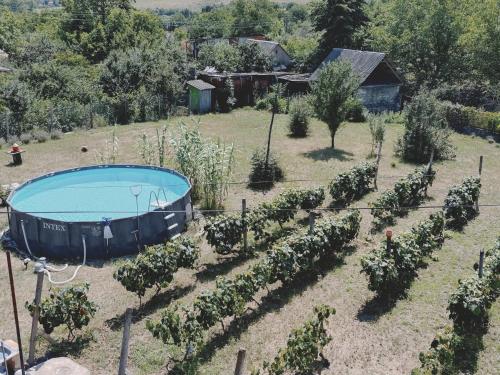 an image of a garden with a hot tub in the yard at Le Rustique in Ivancea