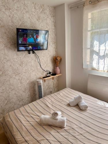 a bedroom with a bed and a tv on the wall at Charme Provençal à Manosque - Centre Historique in Manosque