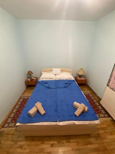 a bedroom with a bed with blue sheets and wooden floors at Villa Vera in Vrnjačka Banja