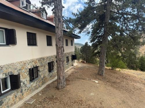 a house with two trees in front of it at Jubilee Hotel Troodos in Troodos