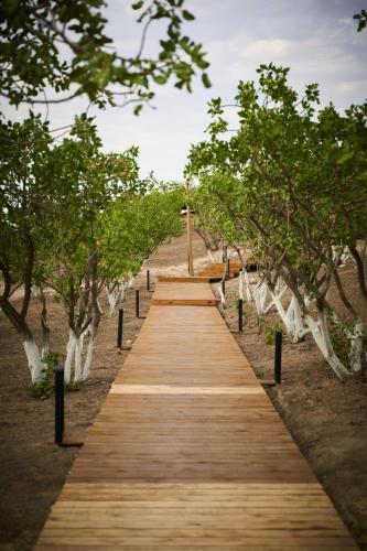 a wooden path through trees on a beach at EcoHouse Glamping by ART HOTEL in Bishkek